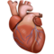 Anatomical Heart emoji on Facebook